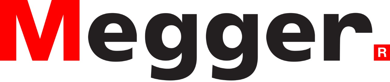 Radiodetection Logo